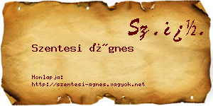 Szentesi Ágnes névjegykártya